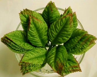 Satin Fabric Craft Leaves: Green Bouquet Decoration (100, 1.5x2.5")