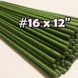 May include: A bundle of 16 green floral stems, each measuring 12 inches in length. The stems are made of a flexible, paper-like material and are ideal for crafting and floral arrangements.