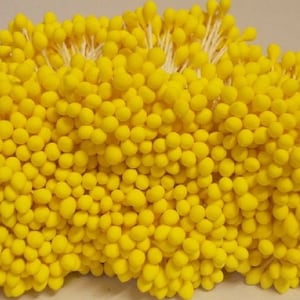 2000 頭 1000 個 (サイズ長さ 6 cm) 丸型 - 人工雄しべ、心皮、黄色の帽子用花の雄しべ。