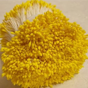 2000 Köpfe 1000 Stück (Größe räumliche Länge 8 cm) Wassertropfenform - Künstliche Staubblätter, Karpel, Gelbe Blütenstempel.