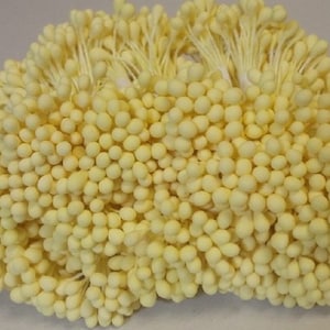 2000 頭/1000 個 (サイズ長さ 6 cm) 丸型 - 人工雄しべ、心皮、クリーミーな帽子用花の雄しべ。