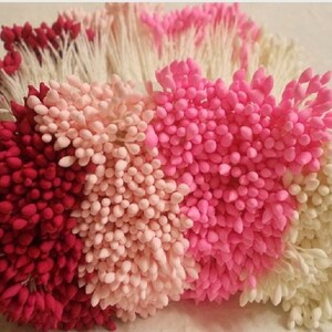 Stami 2000 teste 1000 pezzi (dimensione lunghezza spaziale 8 cm) a forma di goccia d'acqua, carpello, stami di fiori da modisteria di colori misti.