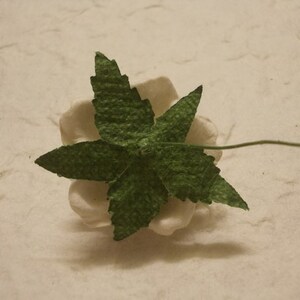 May include: A green paper leaf with a five-pointed star shape, attached to a white paper flower.
