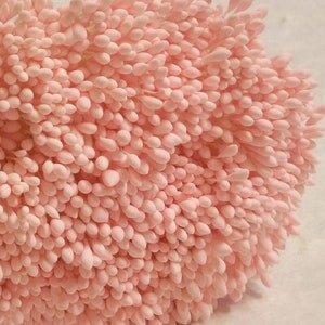 500 頭/250 個 (サイズ、空間長さ 8 cm) 水滴形状 - 人工雄しべ、心皮、ライトピンク、帽子用花の雄しべ。