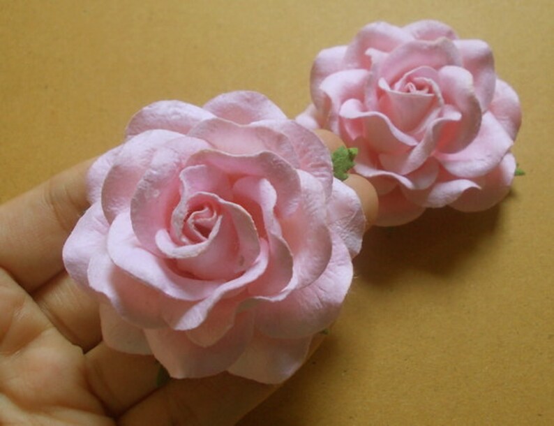 May include: Two pink paper roses with ruffled petals. The roses are arranged in a hand, with the larger rose in the foreground and the smaller rose in the background.