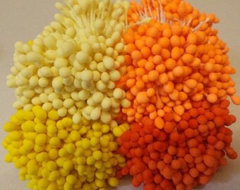 May include: A bunch of small, round, fluffy flower heads in three colors: white, yellow, and orange. The flower heads are clustered together and have a soft, fuzzy texture.
