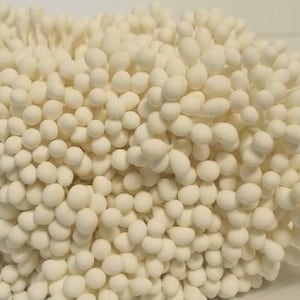 500 頭/250 個 (サイズ長さ 6 cm) 丸型 - 人工雄しべ、心皮、白い帽子用花の雄しべ。