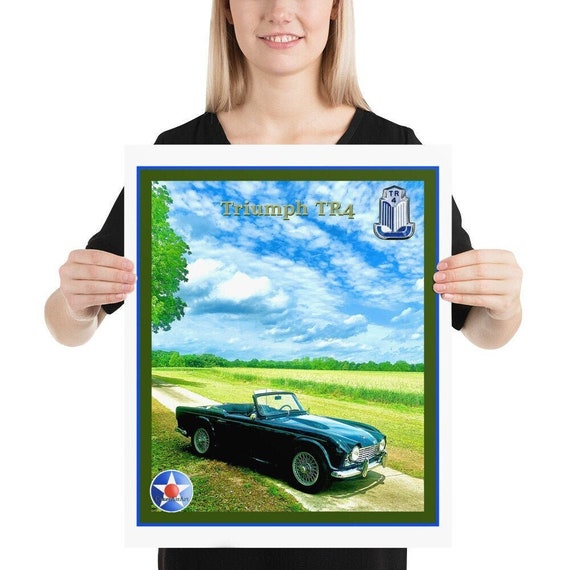 Poster / Print,  Triumph TR4 in a field of it's own. 18" x 24"