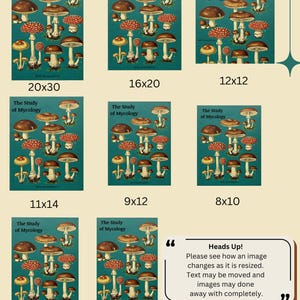 Peut inclure: Affiche illustr&eacute;e de champignons sur fond turquoise, intitul&eacute;e "The Study of Mycology". Diff&eacute;rentes tailles sont pr&eacute;sent&eacute;es : 20x30, 16x20, 12x12, 11x14, 9x12, 8x10, 5x7 et 4x6 pouces. Un texte pr&eacute;vient du redimensionnement.