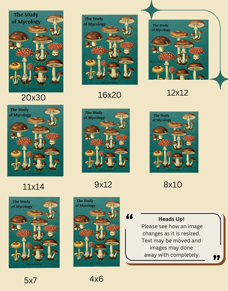 Peut inclure: Affiche illustr&eacute;e de champignons sur fond turquoise, intitul&eacute;e "The Study of Mycology". Diff&eacute;rentes tailles sont pr&eacute;sent&eacute;es : 20x30, 16x20, 12x12, 11x14, 9x12, 8x10, 5x7 et 4x6 pouces. Un texte pr&eacute;vient du redimensionnement.