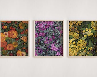 Juego de impresión de arte floral colorido / juego de 3 impresiones de lienzo