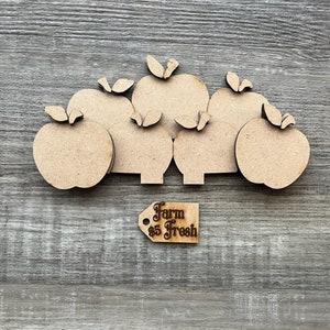 Apple Basket Accessory/ Interchangeable Flower Basket Accessory/ Apple Blanks/ Flower Basket Accessory/ Apple Decorations