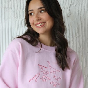 May include: A pink sweatshirt with a red embroidered design of various dinosaurs.