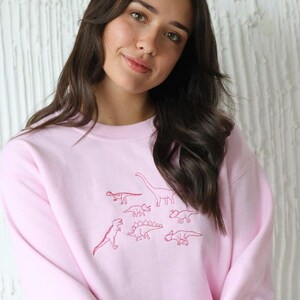 May include: A pink sweatshirt with a red embroidered design of various dinosaurs.