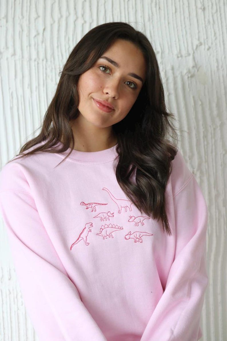May include: A pink sweatshirt with a red embroidered design of various dinosaurs.