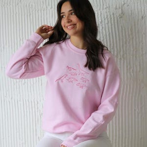 May include: A pink sweatshirt with a crew neck and long sleeves features an embroidered design of multiple dinosaurs in pink.