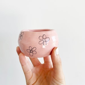 May include: A small, pink ceramic planter with a rounded shape and a simple black daisy design.