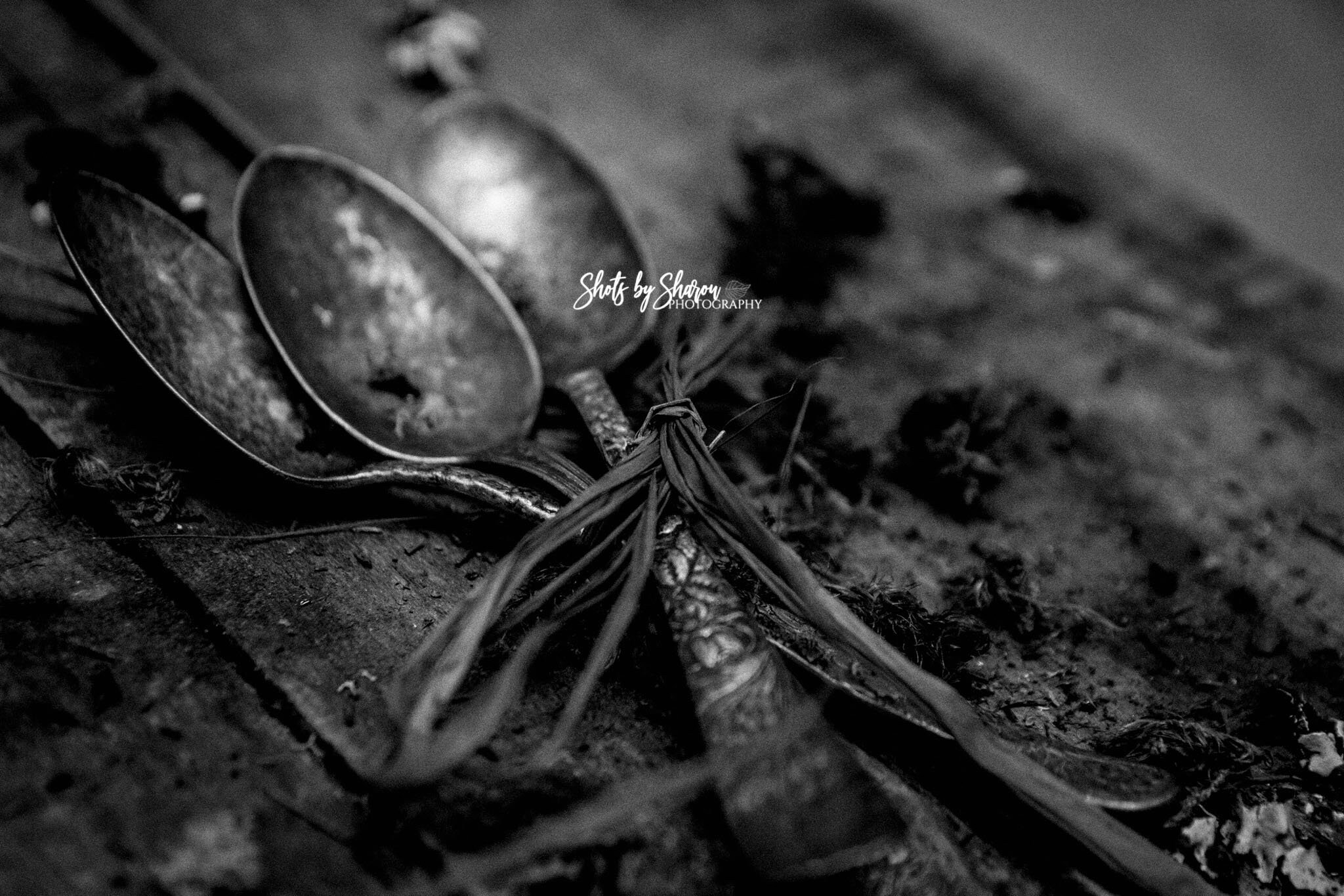 Farmhouse Kitchen Wall Decor Rustic Wall Decor Kitchen Art Etsy