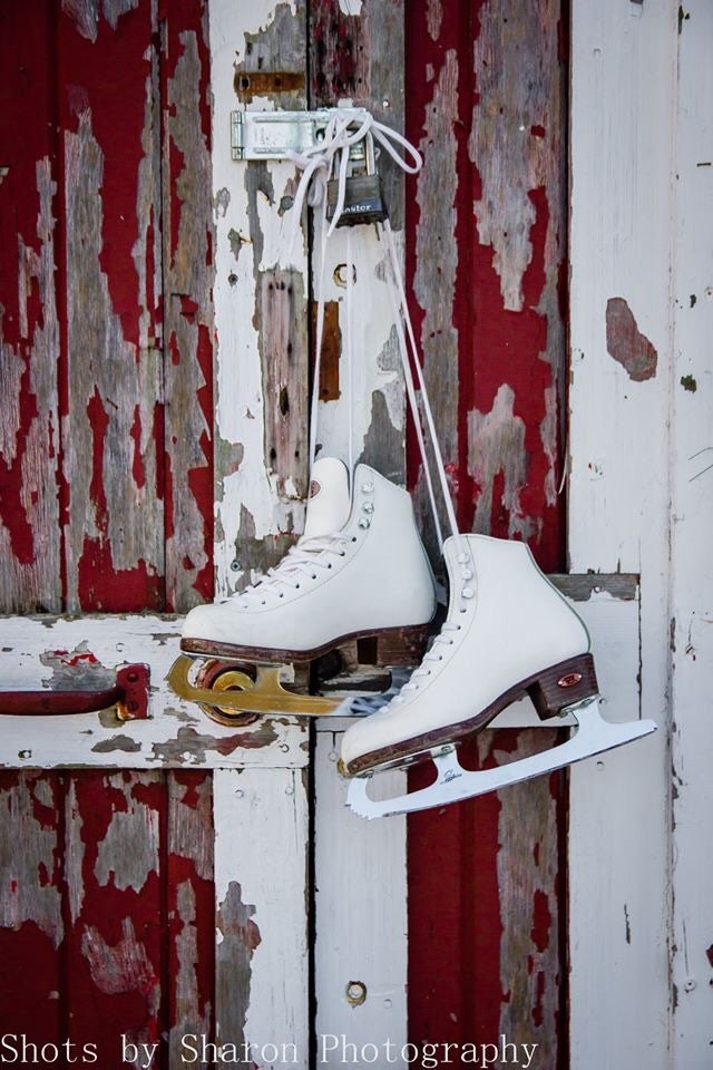 Figure Skating Wall Art / Ice Skates Wall Decor / Girls Room Etsy