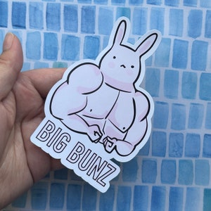 Buff Rabbit (@Buff_Rabbit) / X