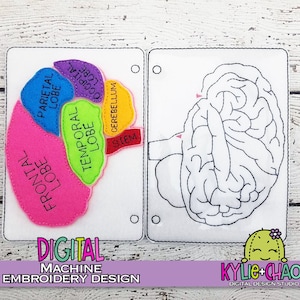 May include: A felt educational toy depicting a brain with labeled lobes in pink, blue, purple, green, and yellow. The right side shows a brain outline. Text includes "FRONTAL LOBE", "PARIETAL LOBE", "TEMPORAL LOBE", "OCCIPITAL LOBE", "CEREBELLUM", and "STEM".