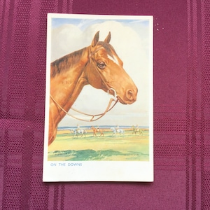 Carte postale vintage Horse / On The Downs / Peinture d’Ernest Whydale / Chestnut Horse / Éphémères de collection - Années 1950