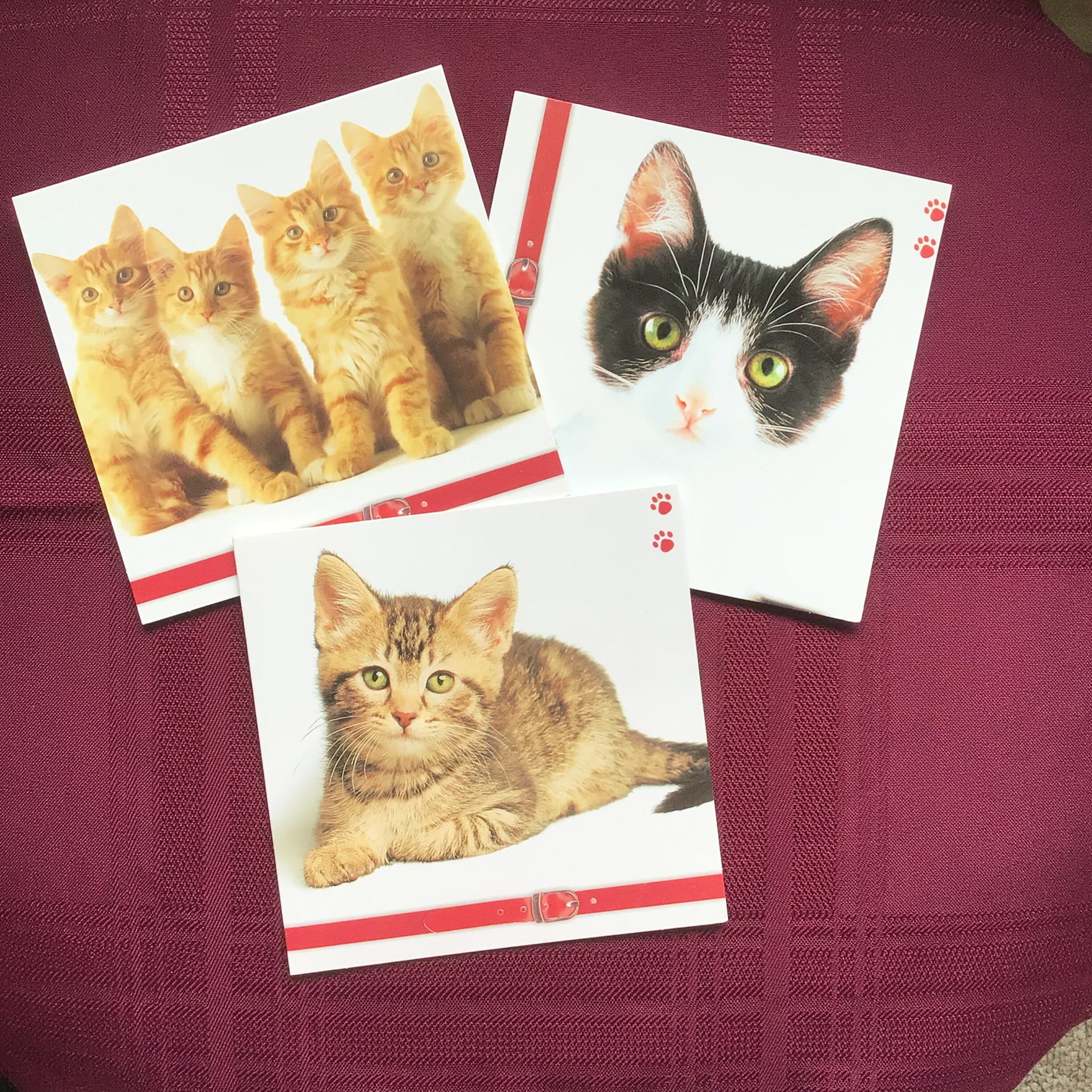 Vintage Cat Greeting Cards/ Hallmark Cards/ Blank Note Cards/ Etsy