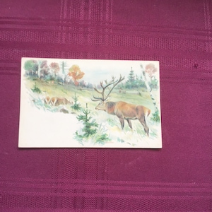 Antike Deutsche Postkarte / Roter Hirsch / Waldszene / Gemälde von Richard Friese / Sammelobjekt Ephemera - 1890er Jahre