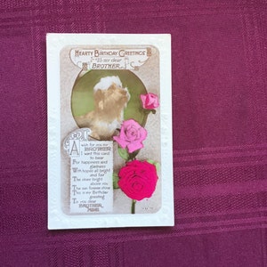 Vintage-Geburtstagspostkarte/Geburtstag des Bruders/Goldendoodle-Hund – rosa Rosen/geprägter Rand/Wildt & Kray, London