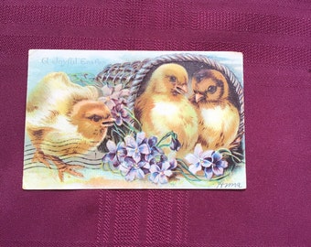 Antique Easter Postcard/ Easter Greetings/ Baby Chickens - Violets/Collectible Ephemera/ Postmarked 1907