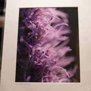 Purple Flower Photography. Purple Flower Wall Art. Purple Flower Gift. Abstract Flower Artwork. Abstract Flower Photography. Vibrant Purple image 1