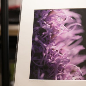 Purple Flower Photography. Purple Flower Wall Art. Purple Flower Gift. Abstract Flower Artwork. Abstract Flower Photography. Vibrant Purple image 2