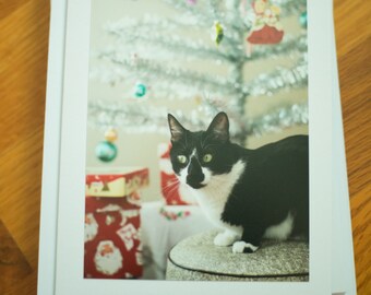 Mid-Century Cat Christmas. Retro Cat Christmas. Tuxedo Cat Christmas. Vintage Christmas. Cat Christmas Card. Set of Six Blank Cards