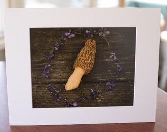 Morel Photography Print. Purple Flowers with Morel. Morel Mushroom Gift. Morel Mushroom Print. Morel Mushroom Wall Art.