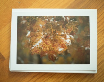 Leaf with Snow Card. Fall Card. Winter Card. Fall Leaf Photography. Set of Six Blank Cards