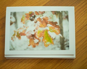 Winter Leaves Card. Fall Leaves Card. Colorful Leaves. Vibrant Leaves. Set of Six Blank Cards.