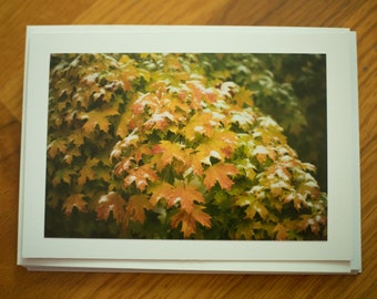 Colorful Leaves Card. Fall Leaves Card. Leaves with Snow. Leaf Photography. Vibrant Leaves. Set of Six Blank Cards