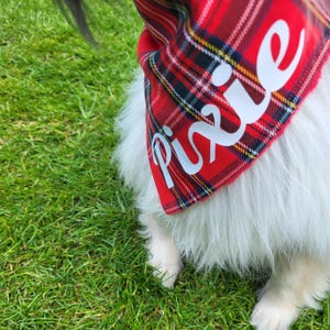 Dimples Schottenkaro rot kariertes Hundehalstuch - Hundeschal für kleine bis große Hunde und Katzen - Geschenk für Hund zu Weihnachten image 5