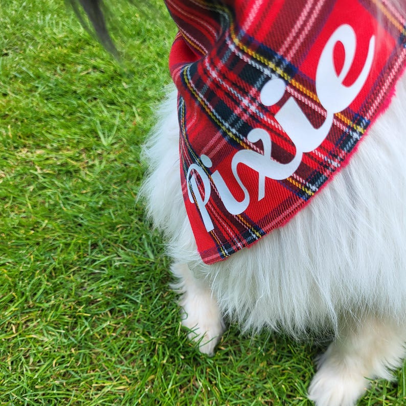 Dimples Schottenkaro rot kariertes Hundehalstuch - Hundeschal für kleine bis große Hunde und Katzen - Geschenk für Hund zu Weihnachten image 5