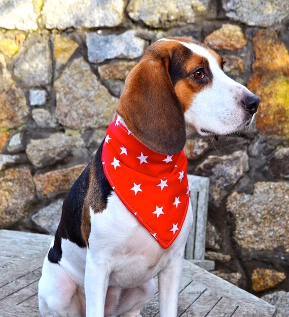 Dimples Hundehalstuch Halstuch für kleine mittlere und Grosse Hunde