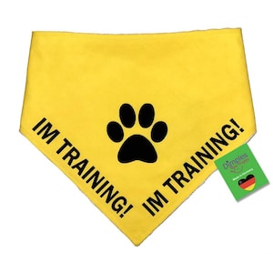 Dimples Im Training Hundehalstuch für Assistenzhund Bandana für kleine mittelgroße und große Hunde und Katzen