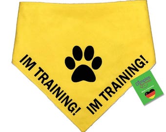 Dimples Im Training Hundehalstuch für Assistenzhund Bandana für kleine mittelgroße und große Hunde und Katzen