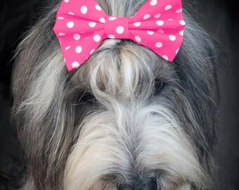 Dimples Hundefliege pink mit weissen Punkten - Hunde Schleife für Hochzeit, Geburtstag oder Taufe