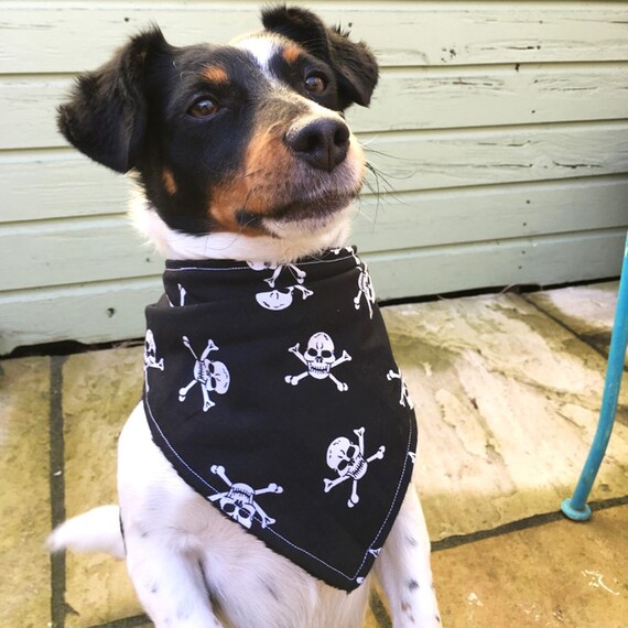 Handgemachtes Hunde Accessoire Halstuch f/ür kleine mittlere und Grosse Hunde Welpen und Katzen Mexikanische Totenk/öpfe pink Dimples Hundehalstuch Hunde Besitzer Geschenk