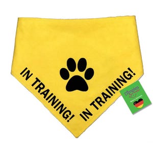 Könnte beinhalten: Gelbes Hundehalstuch mit schwarzem Pfotenabdruck und dem Aufdruck "IN TRAINING!". Ein grünes Etikett mit dem Text "Dimples are happy" und einer deutschen Flagge ist angebracht.
