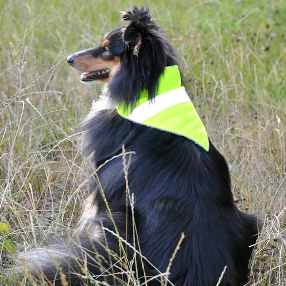Dimples neongelbes Warnhundehalstuch mit Reflektorstreifen Bandana für Sichtbarkeit in der Dunkelheit Warnweste für Hunde Sicherheit