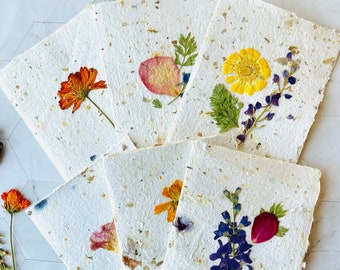 Handmade Pressed Flower Botanical A2 Note Cards. Set of 6 Recycled Paper Deckle Edge Stationery with Vellum Envelopes for Blank Thank Yous.