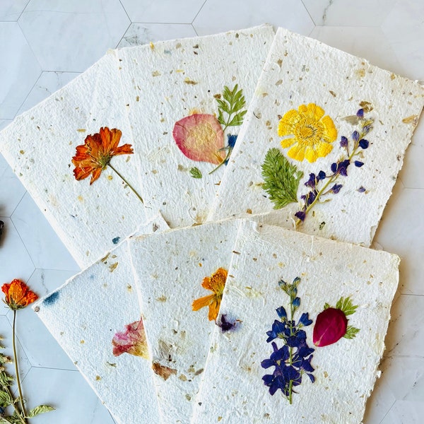 Handmade Pressed Flower Botanical A2 Note Cards. Set of 6 Recycled Paper Deckle Edge Stationery with Vellum Envelopes for Blank Thank Yous.