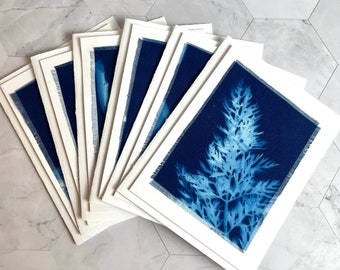 Handmade Cyanotype Print A2 Note Cards. Set of 6 Sun Printed Indigo Blue Blank Stationery Cards with Vellum Envelopes for Thank Yous.