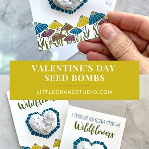 Seed Bomb Card Eco-Friendly Heart Seed Bomb Party Favors Recycled Paper Wildflower Seeds Biodegradable image 4